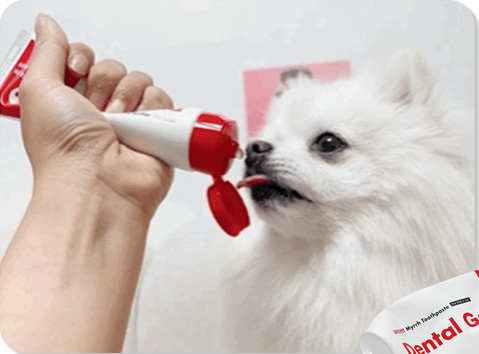 Animal Cruelty Free gif